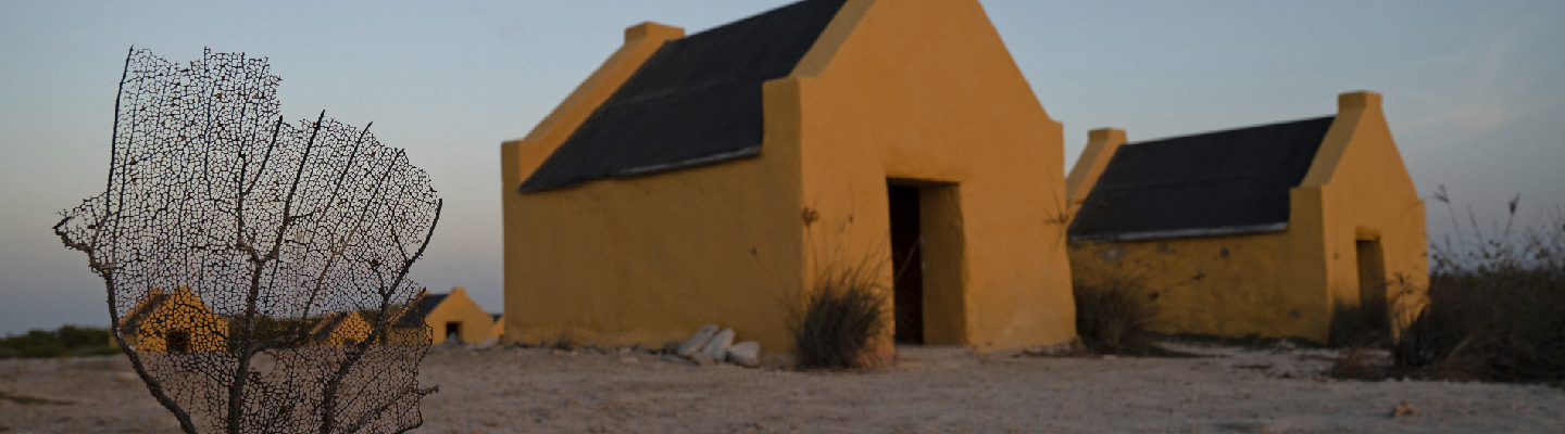 Payroll, Financial Reporting & Tax Support, All in One Place